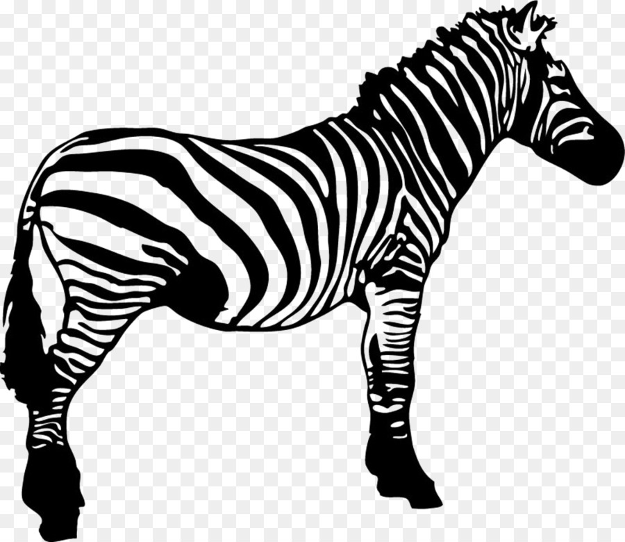Zebra Clip art - zebra png download - 1024*887 - Free Transparent Zebra png Download.