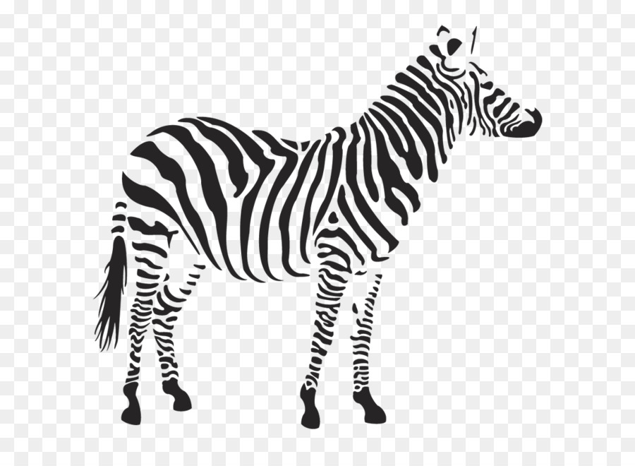 Zebra Clip art - Zebra PNG image png download - 800*800 - Free Transparent Horse png Download.