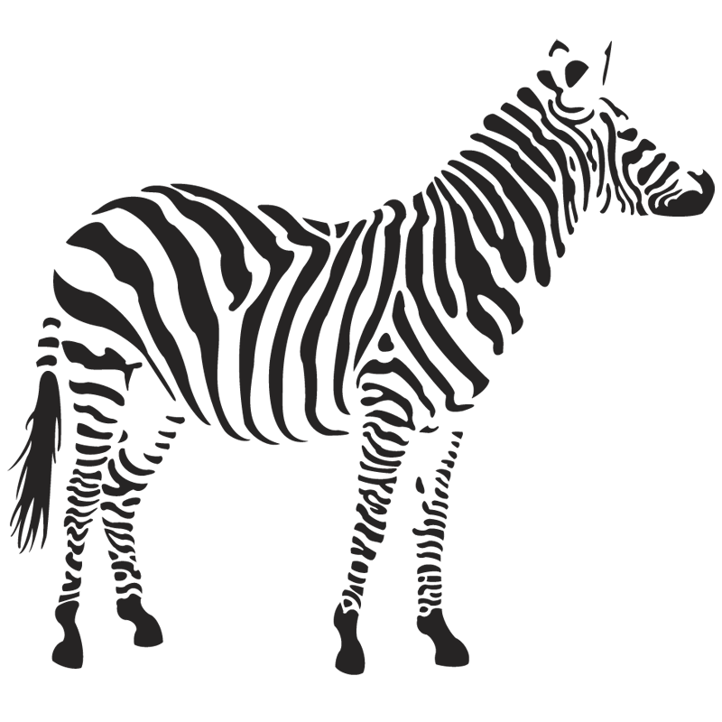 Zebra Clip art - Zebra PNG image png download - 800*800 - Free ...