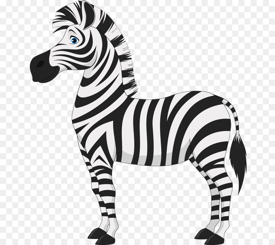 Horse Zebra Clip art - Tall zebra png download - 721*800 - Free Transparent Horse png Download.