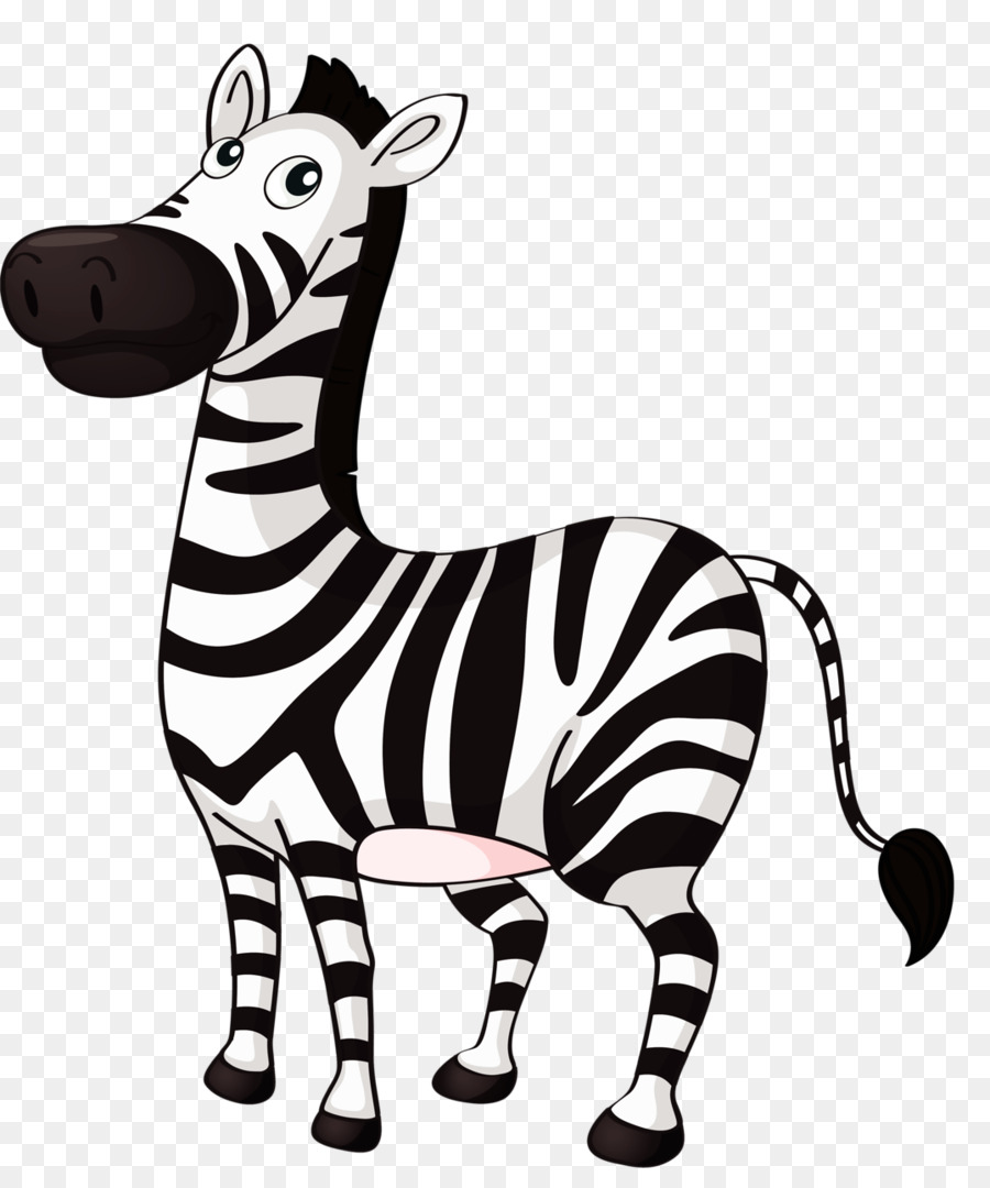 Zebra Clip art - zebra png download - 1077*1280 - Free Transparent Zebra png Download.