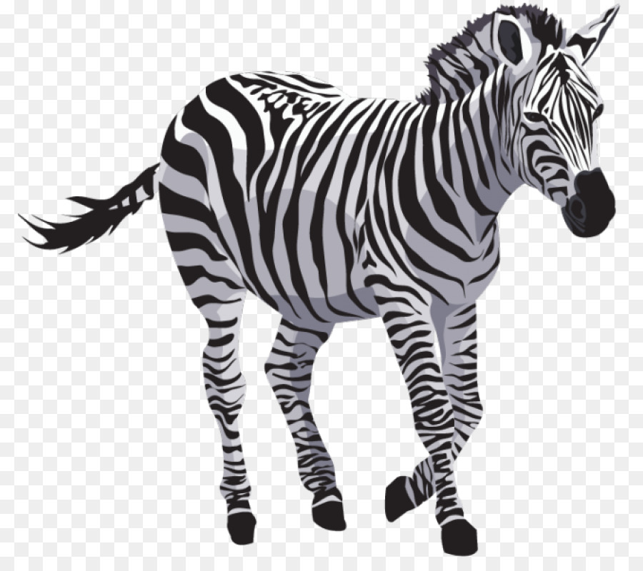 Zebra Quagga Clip art - zebra png download - 850*788 - Free Transparent Zebra png Download.