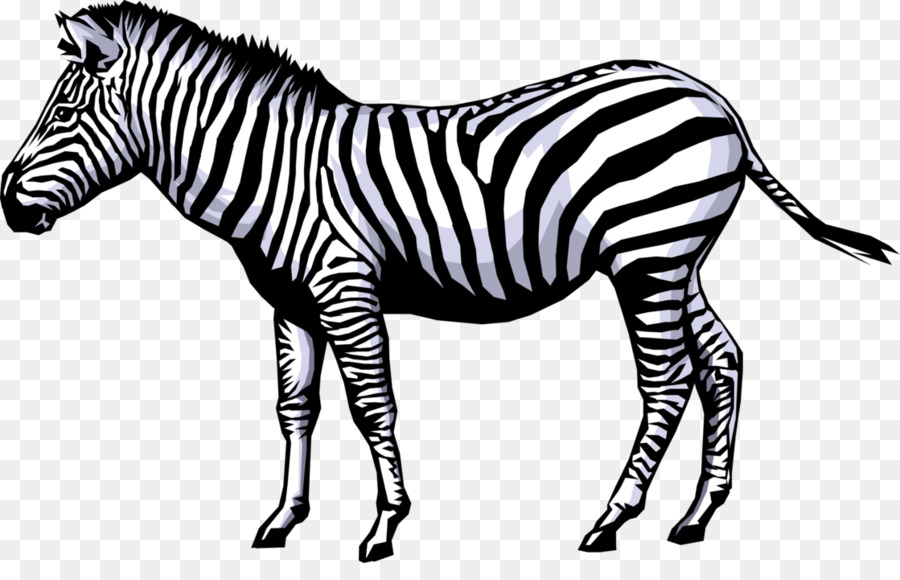 Zebra Animation Clip art - cartoon elements png download - 1119*700 - Free Transparent Zebra png Download.