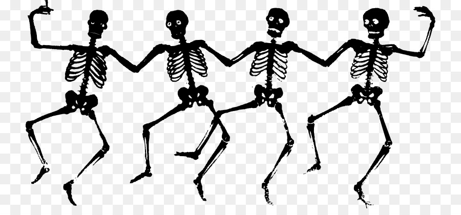 Skeleton Free content Clip art - Halloween Skeleton PNG Transparent Image png download - 800*407 - Free Transparent Skeleton png Download.