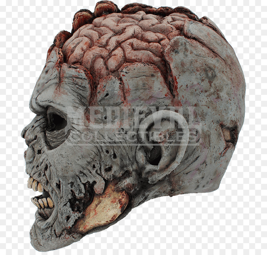 Skull Brain Mask Head Grey matter - skull png download - 850*850 - Free Transparent  png Download.