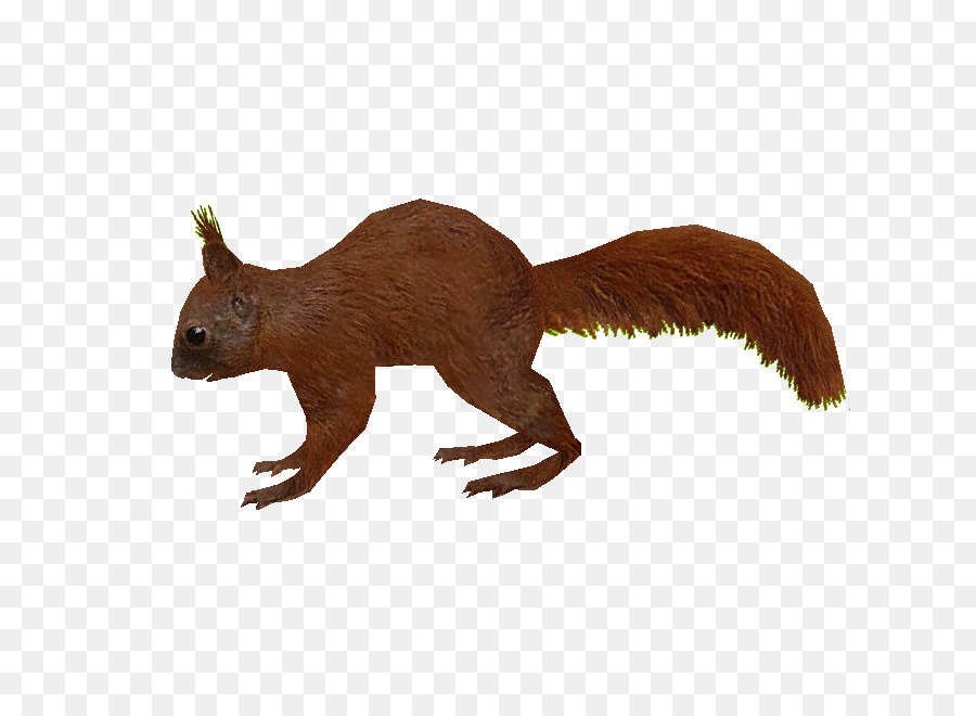 Zoo Tycoon 2: Extinct Animals Squirrel Rodent - squirrel png download - 750*650 - Free Transparent Zoo Tycoon 2 Extinct Animals png Download.