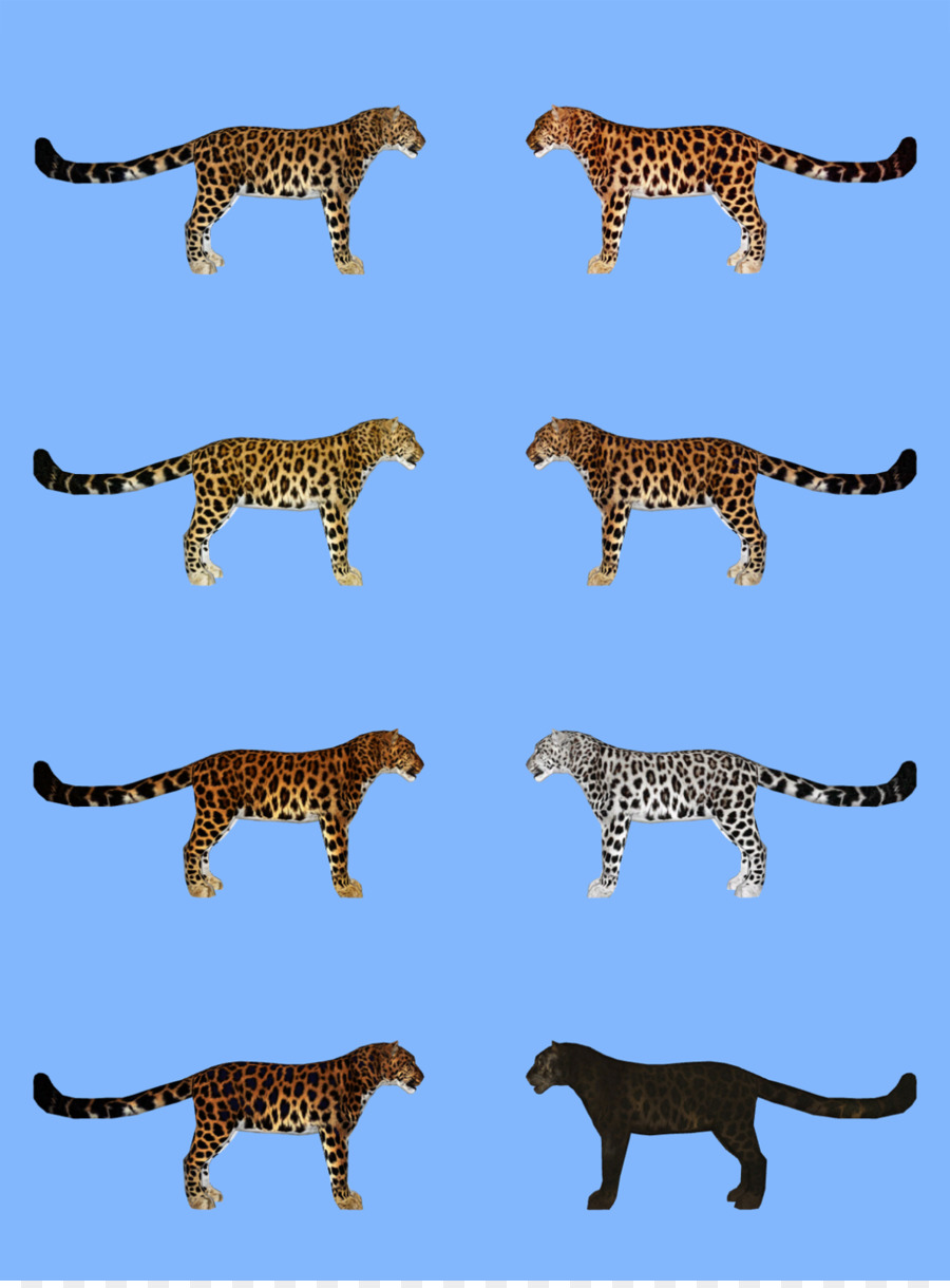 Zoo Tycoon 2: Endangered Species Amur leopard - leopard png download - 1186*1599 - Free Transparent Zoo Tycoon 2 Endangered Species png Download.