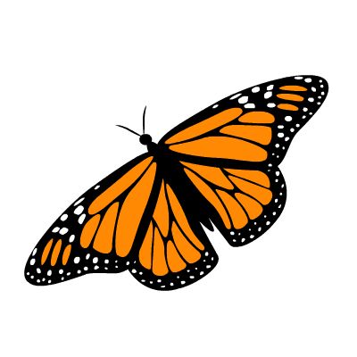 Encounter with a Monarch Butterfly… 