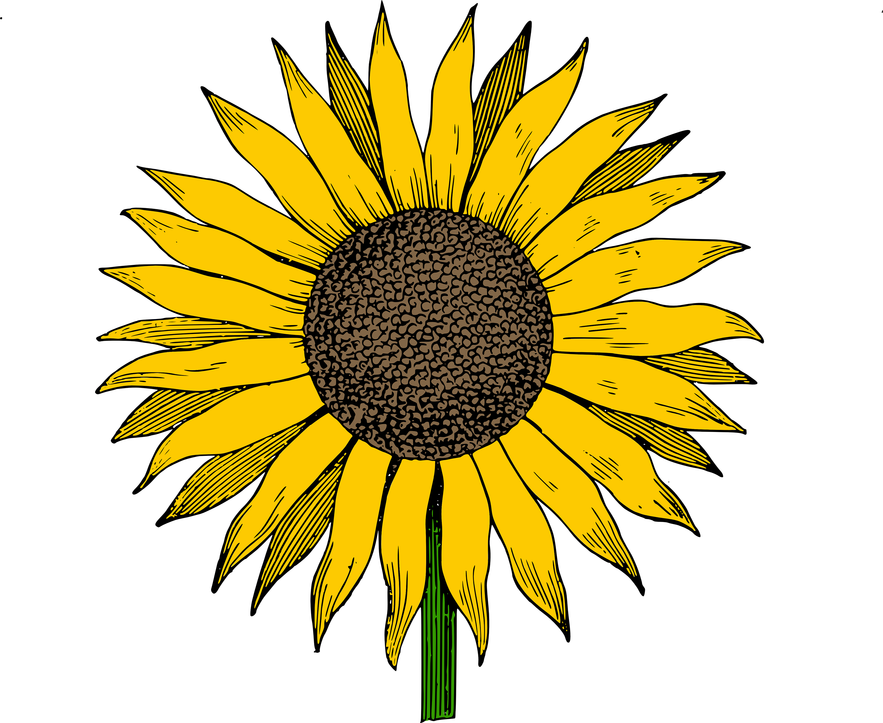 Vintage sunflower clip art 