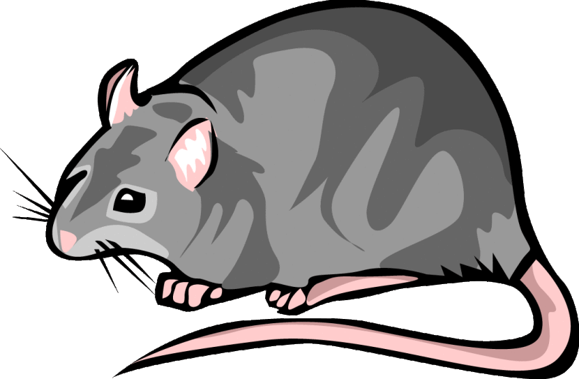 Best Rat Clipart 