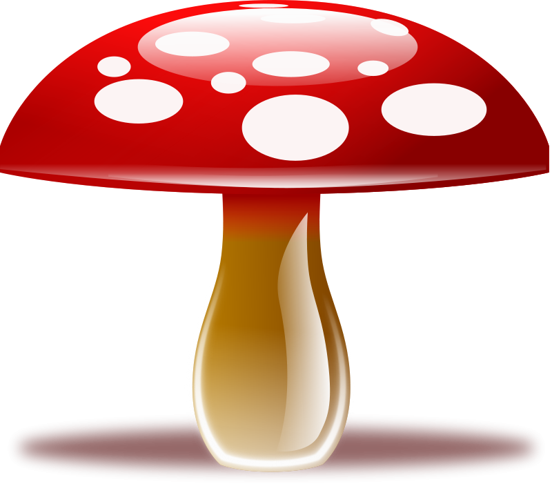 Mushrooms Clipart 