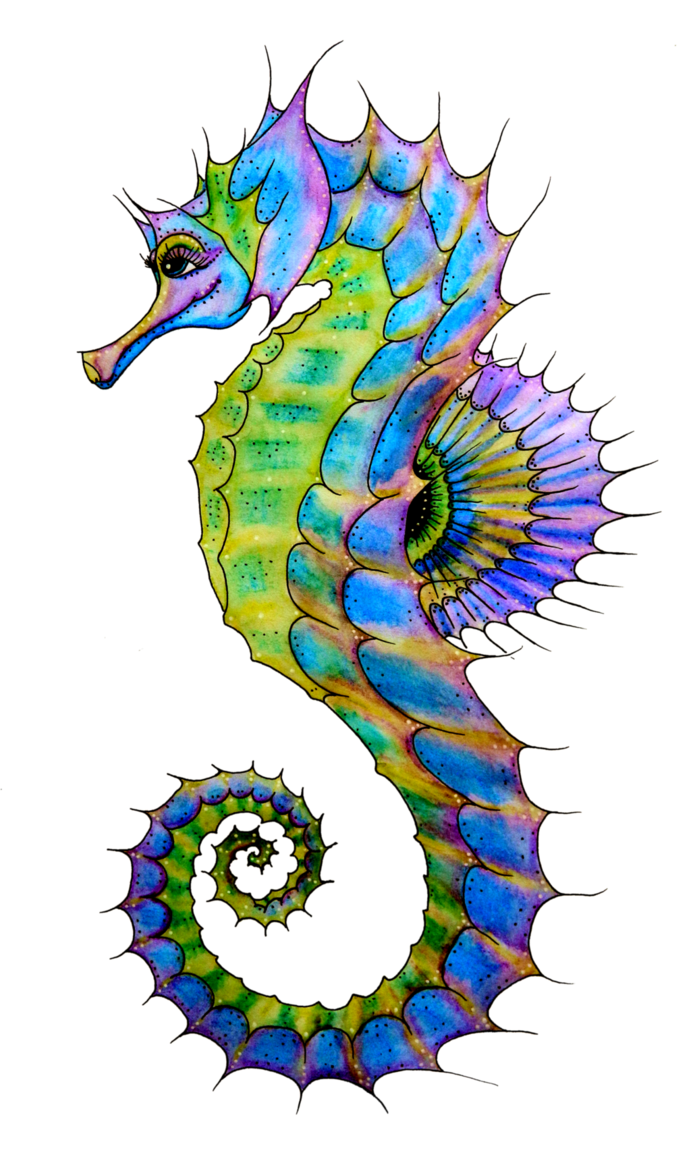 Seahorse free sea horse clip art the graphics fairy 