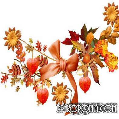 Color of autumn: leaves png and flowers png 