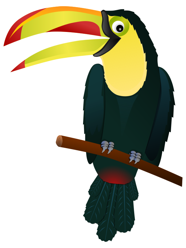 Toucan animal clipart 