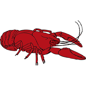 crayfish clipart, cliparts of crayfish free download 