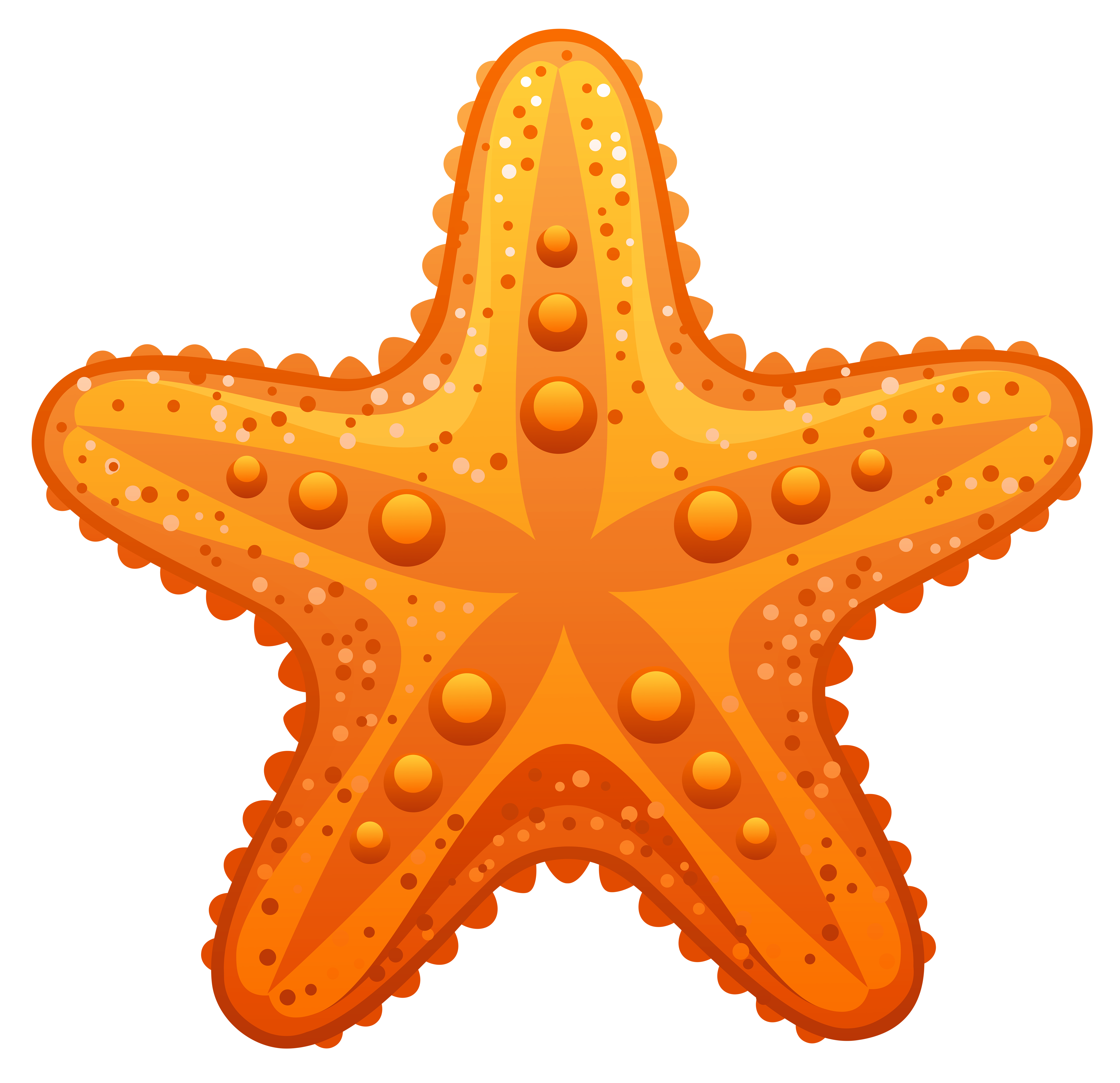 Starfish Clipart  Starfish Clip Art Image 