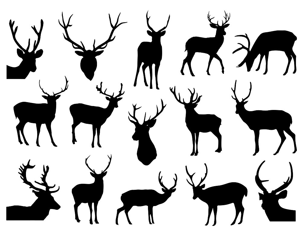 Deer antlers white with black back ground clipart 