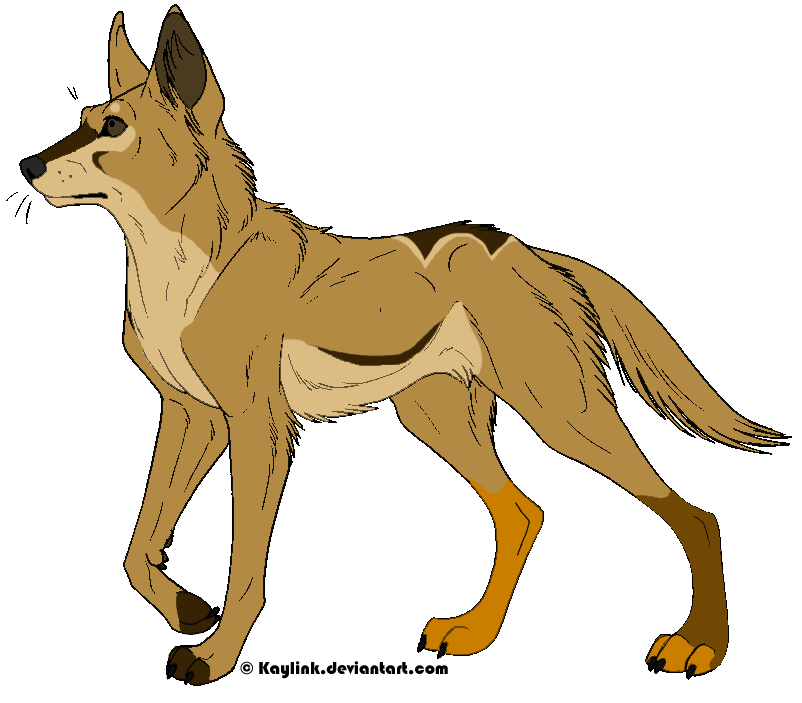 Dingo Clip Art 