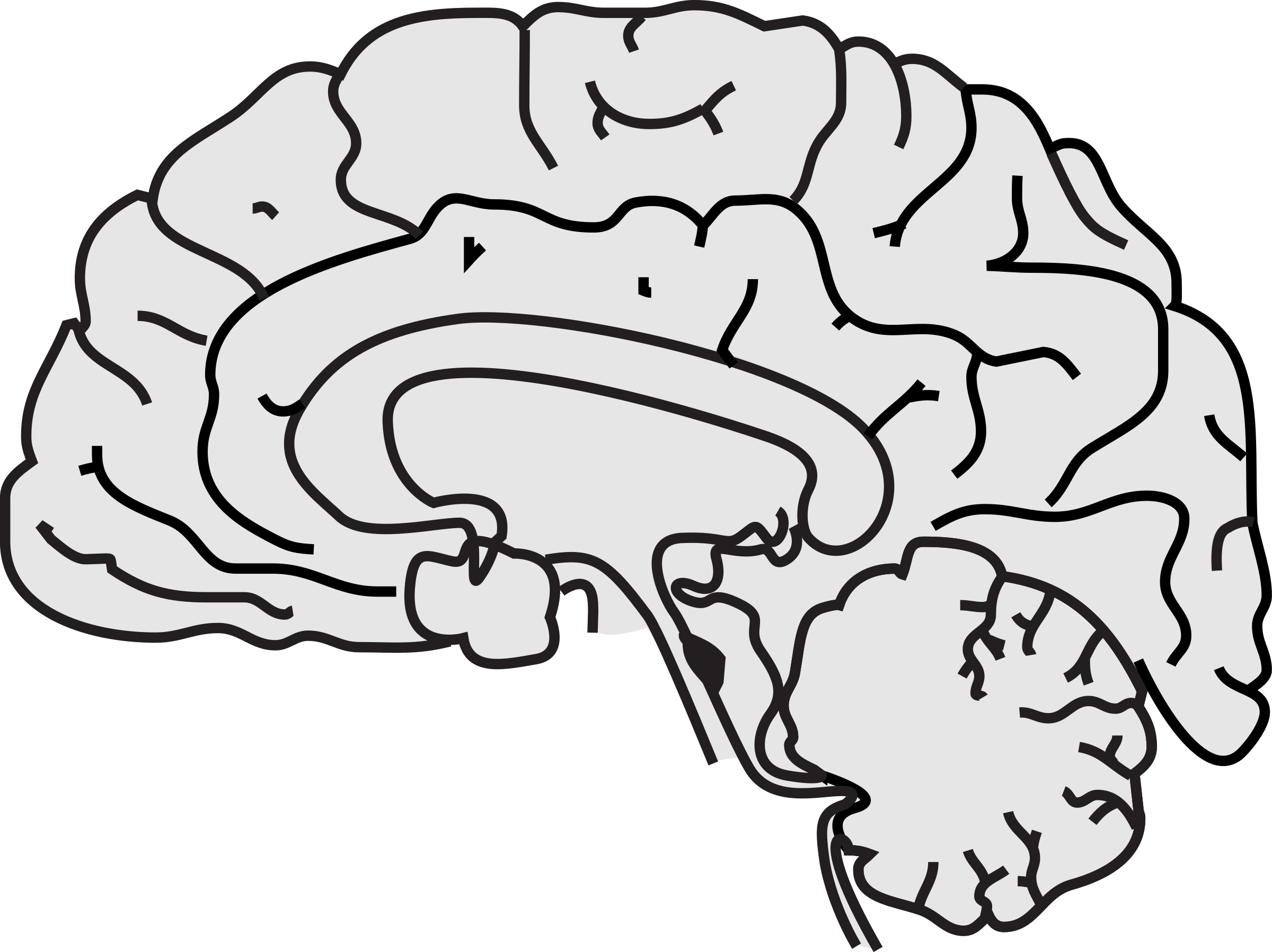 grey brain clipart - Clip Art Library