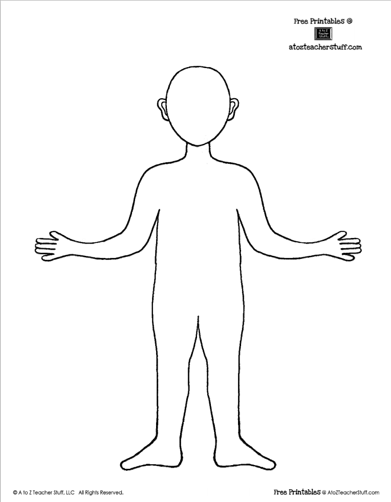 Generic body outline clipart 