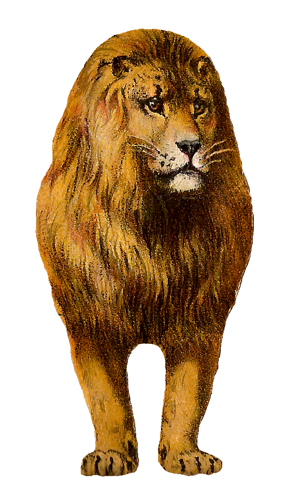 Antique Image: Free Digital Lion Clip Art Animal Graphic Front 