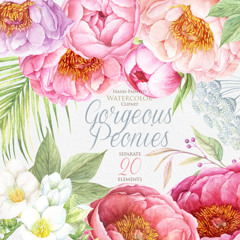 Peonies Watercolor Flowers Clipart. BOHO Hand painted by 