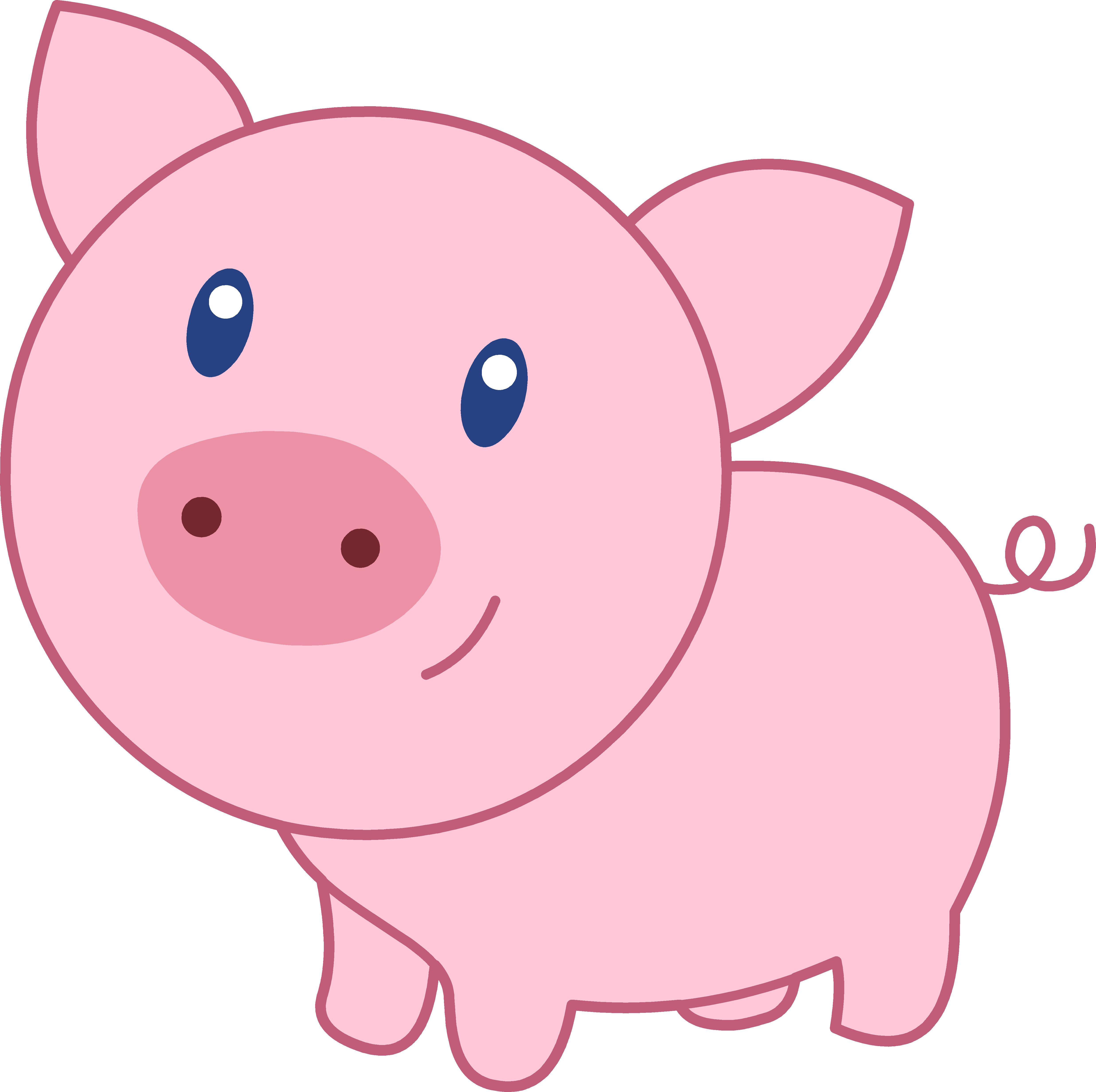 Cartoon Pig 