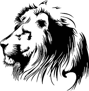 Lion black and white 0 image about lions on lion silhouette and 
