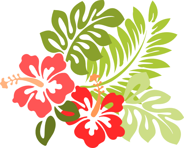Hawaiian hibiscus clipart 