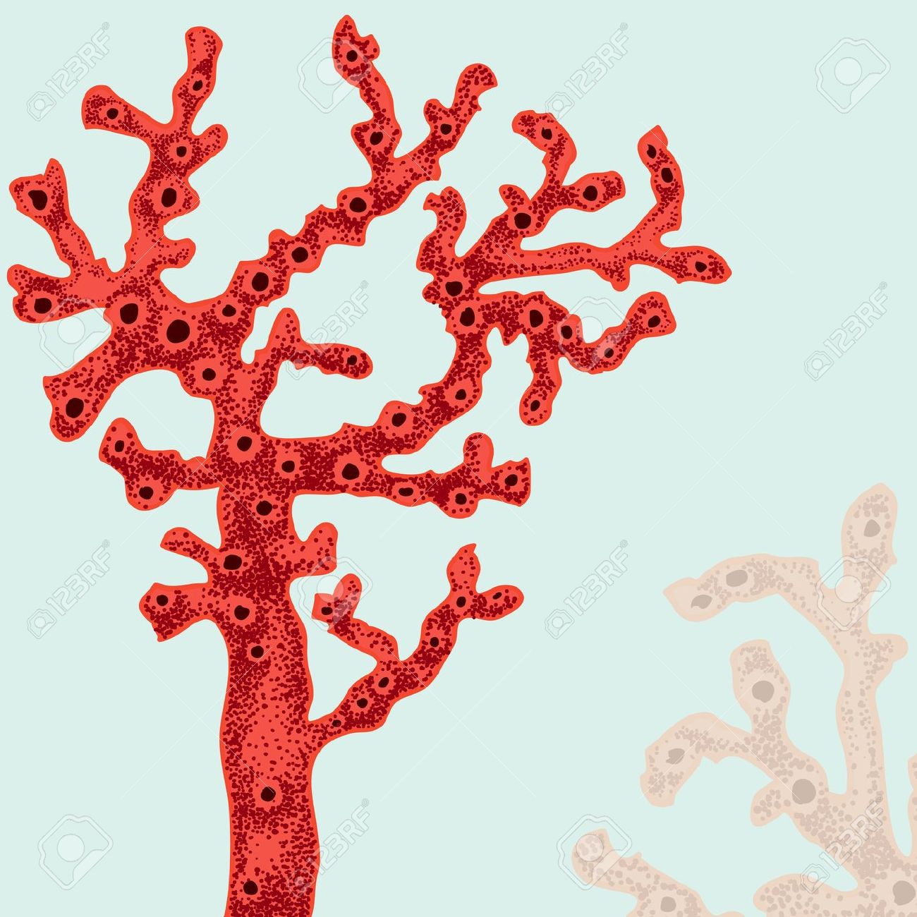 Coral Tree Cliparts Png Images Pngwing Clip Art Library | My XXX Hot Girl