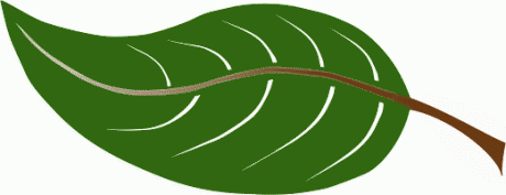 Leaves Clipart 