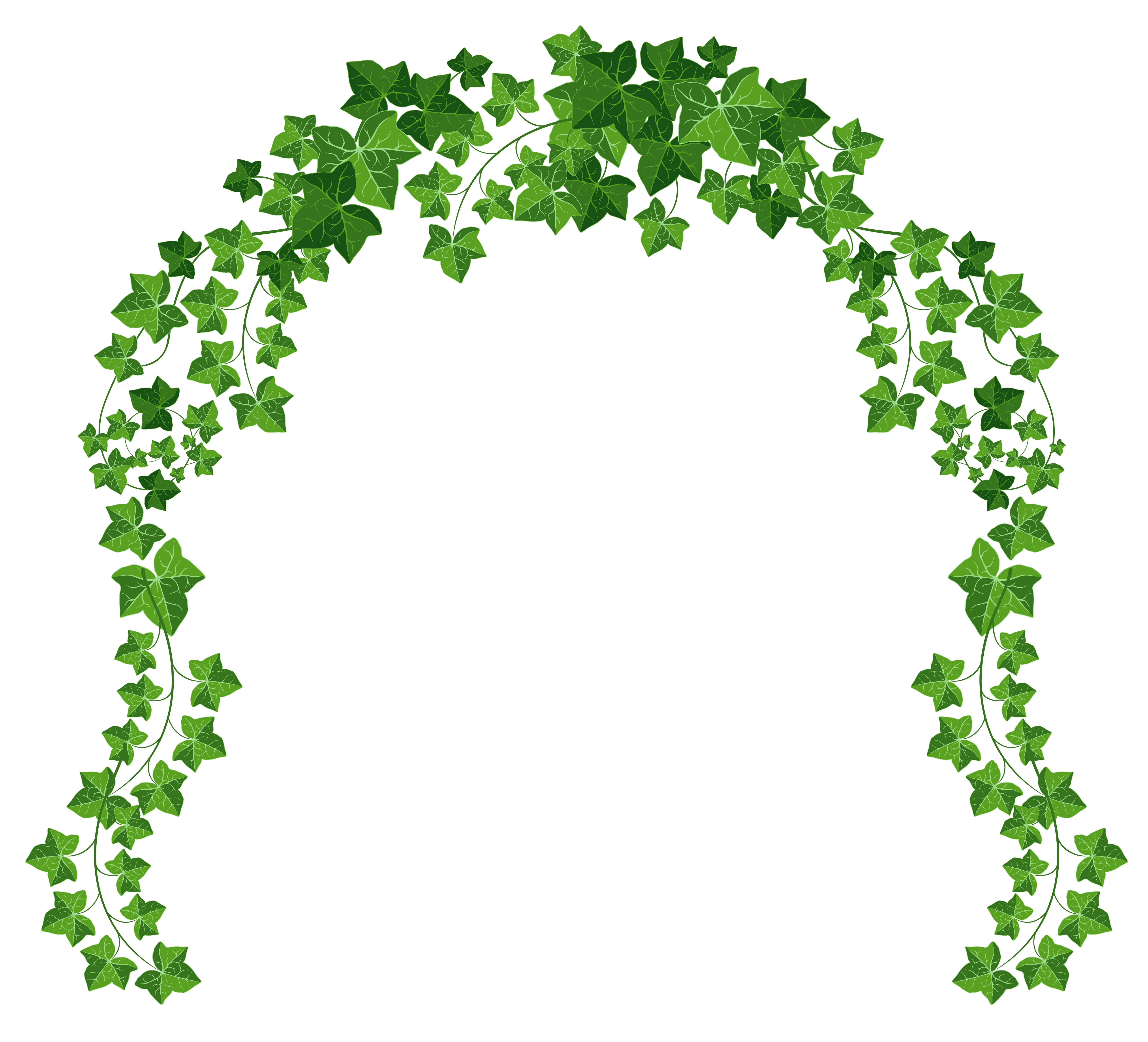 3,100+ Hanging Vines Stock Illustrations, Royalty-Free Vector