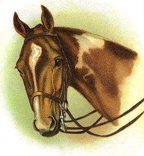 equine vintage clipart 