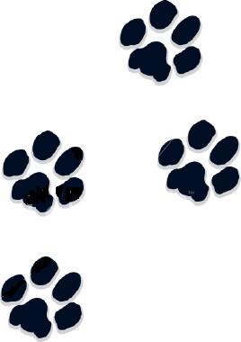 Free clipart image dog paws 