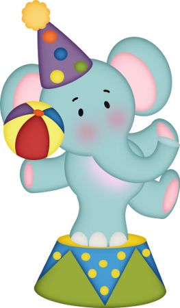 The circus