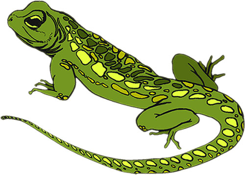 Girl Reptile Cliparts