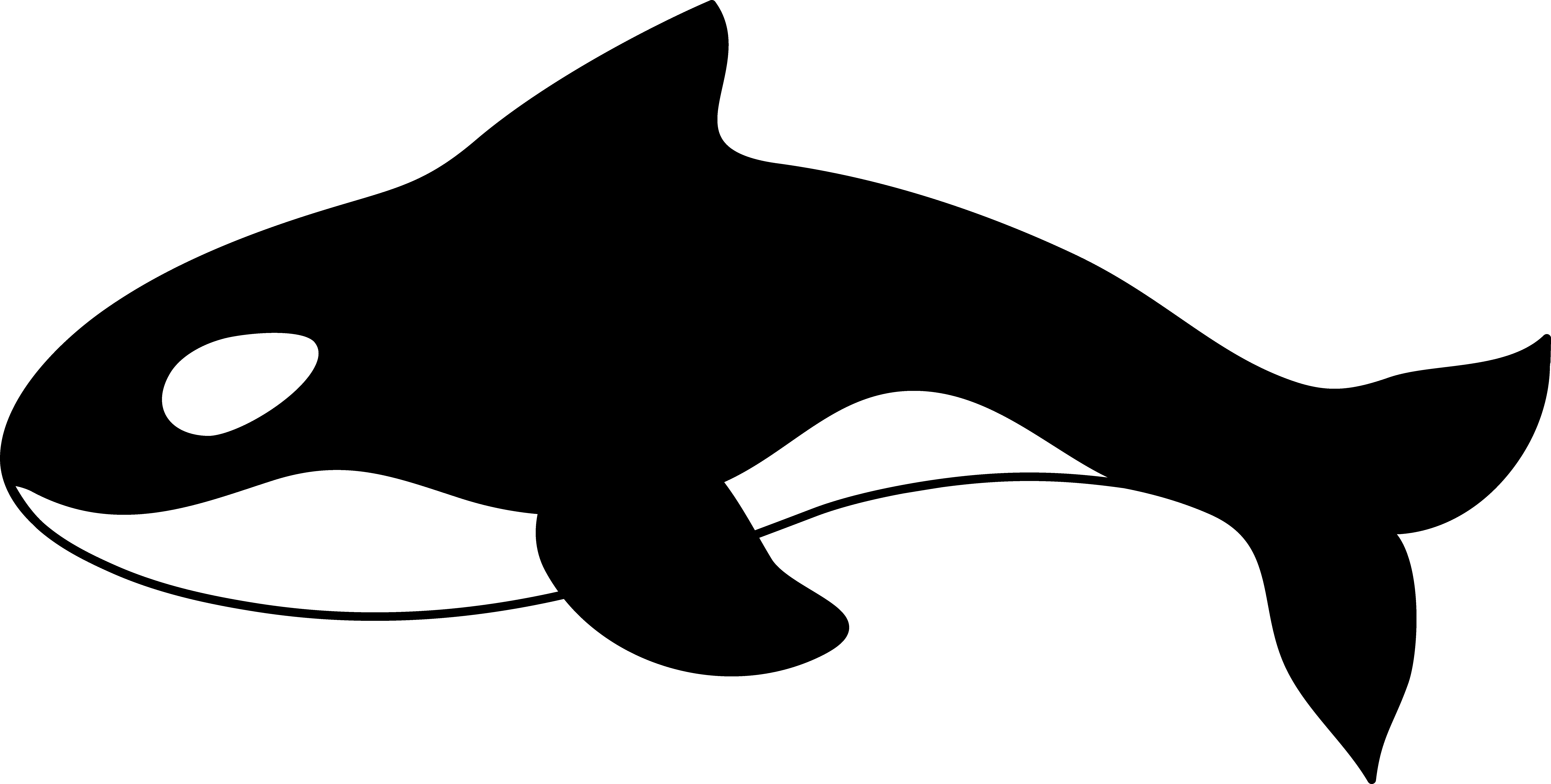 Free Whale Outline Cliparts Download Free Whale Outline Cliparts Png 