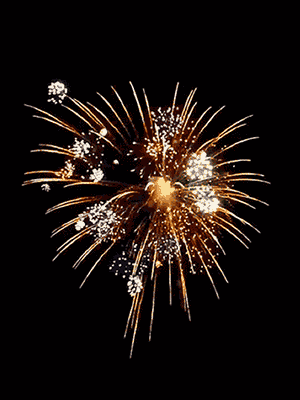 Free Animated Fireworks Gifs Clipart And Firework Animations