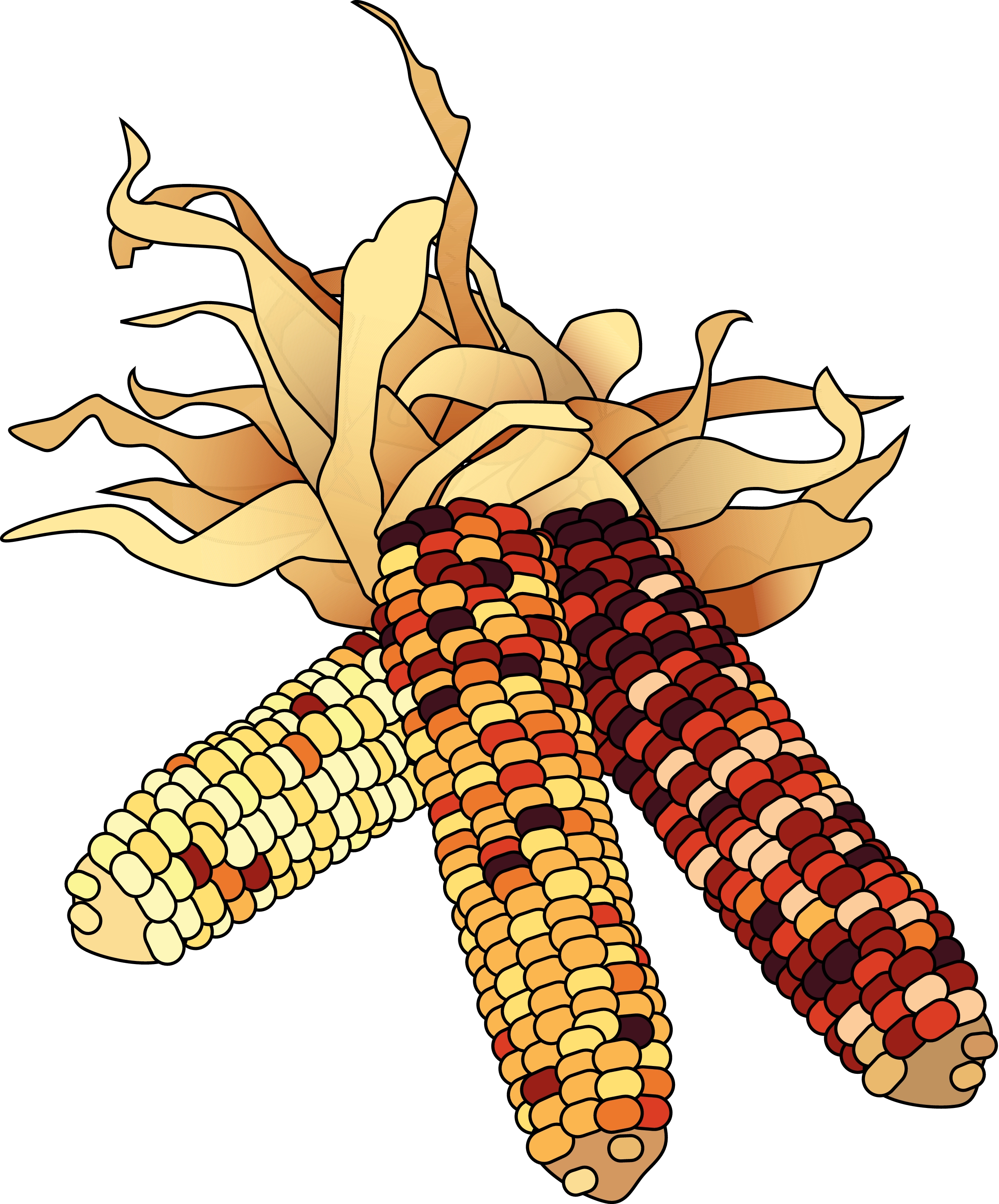 clipart indian corn - Clip Art Library