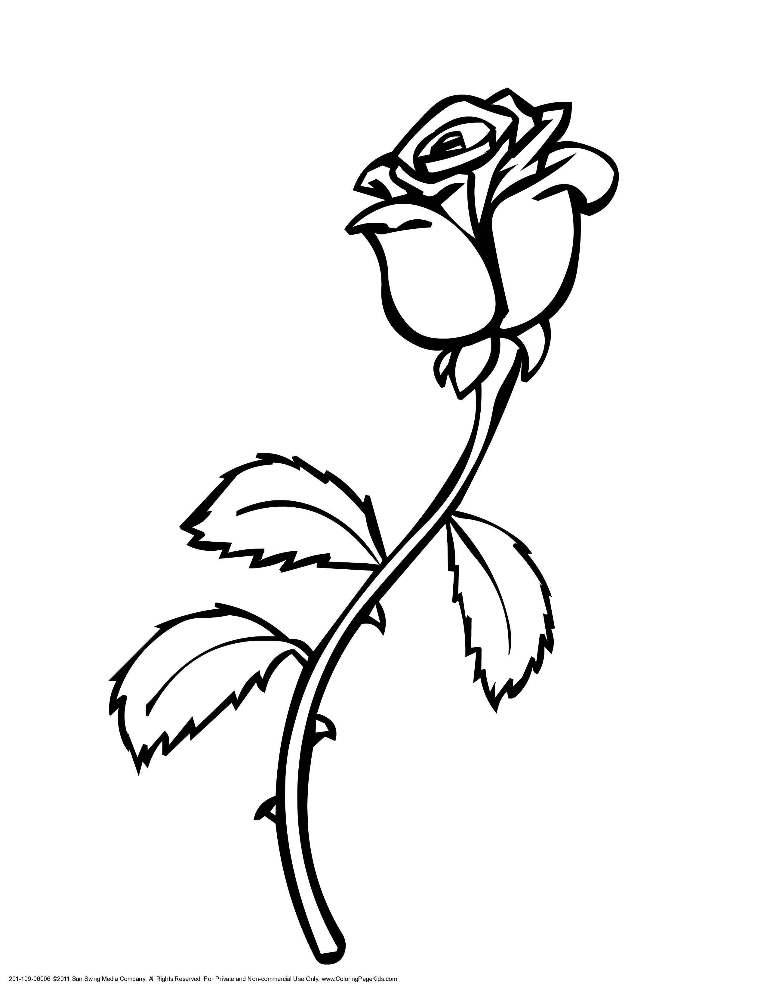 rose vines drawings