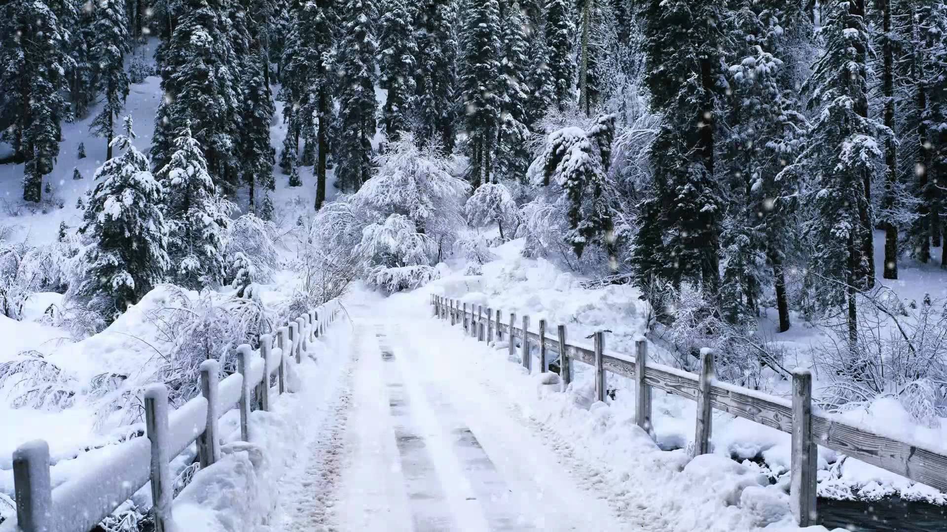 Beautiful Winter Cliparts