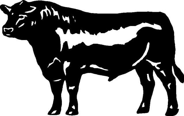 Angus cattle Texas Longhorn Bull Clip art - bull png download - 746*690 ...