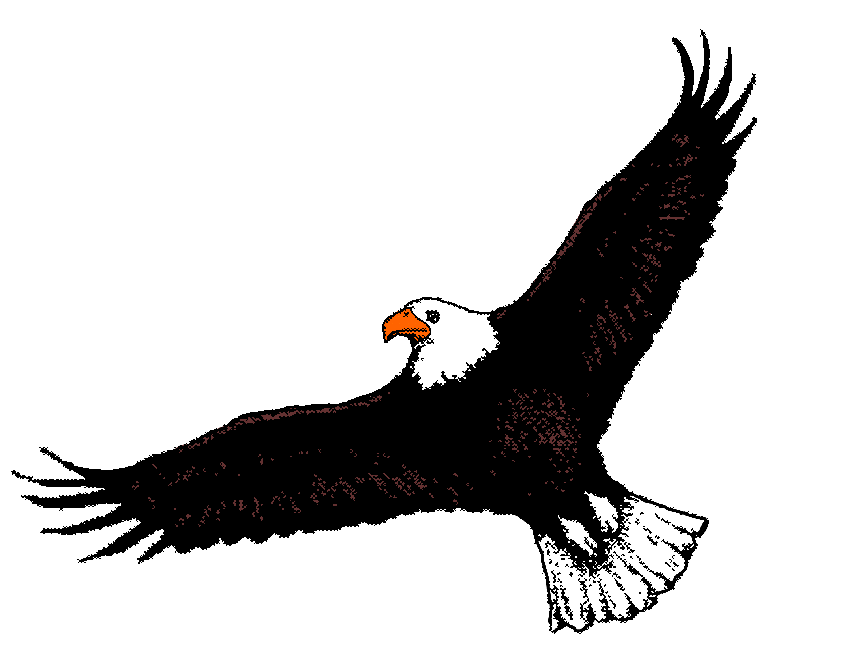 Flying Eagle Clip Art