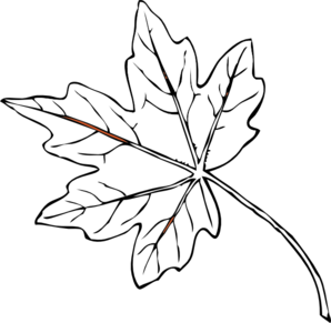 Maple Leaf Clip Art at Clker 