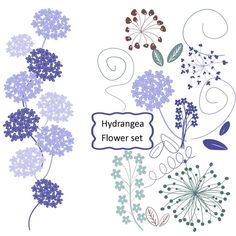 10 Hydrangea Clip Art in Purple, Flower graphics 