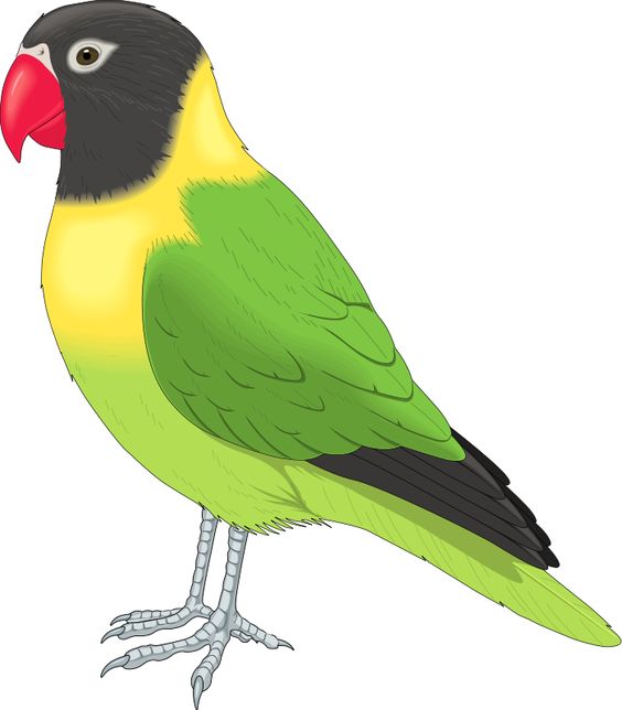 Yellow Animal Cliparts