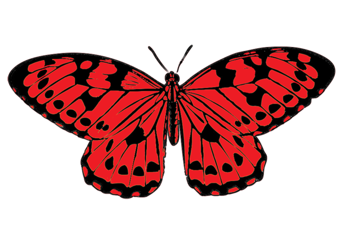 Black Red Butterfly Clip Art Png Clipart 