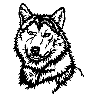 Husky Dog Cliparts