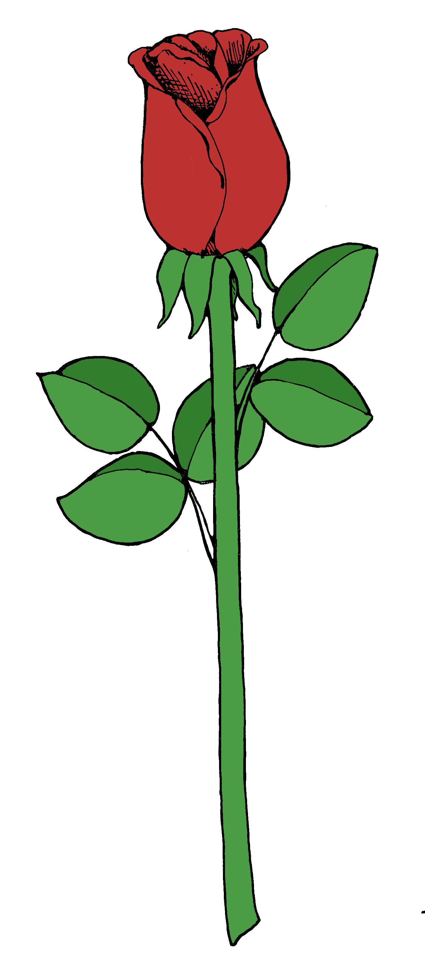 Simple Rose Clipart 