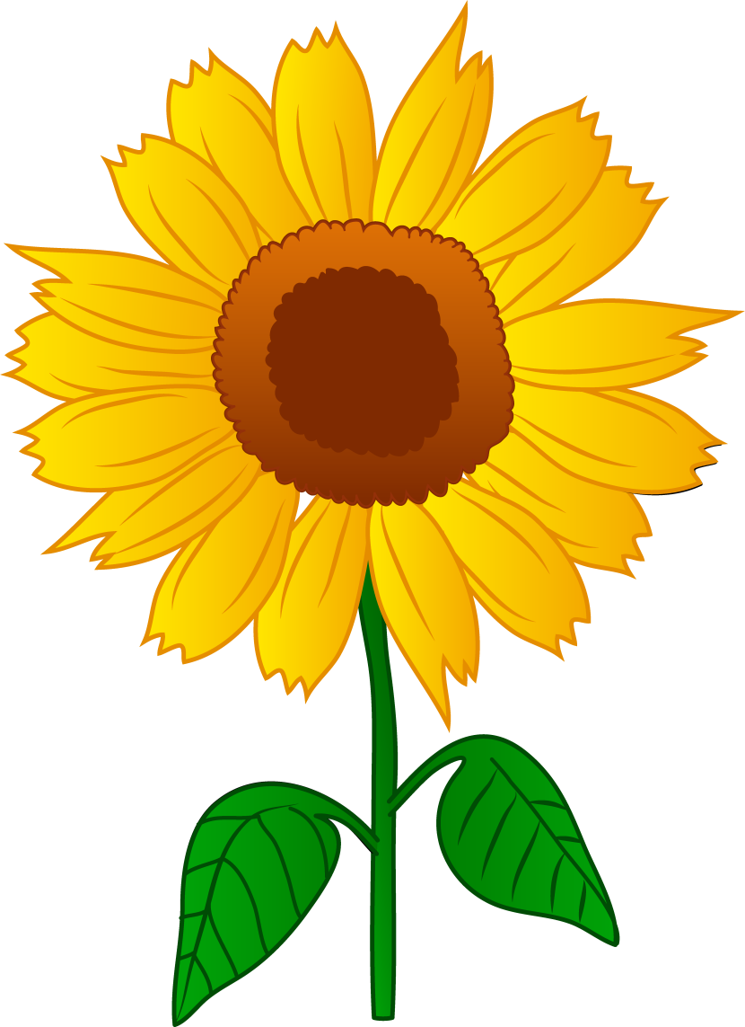 Best Sunflower Clipart 